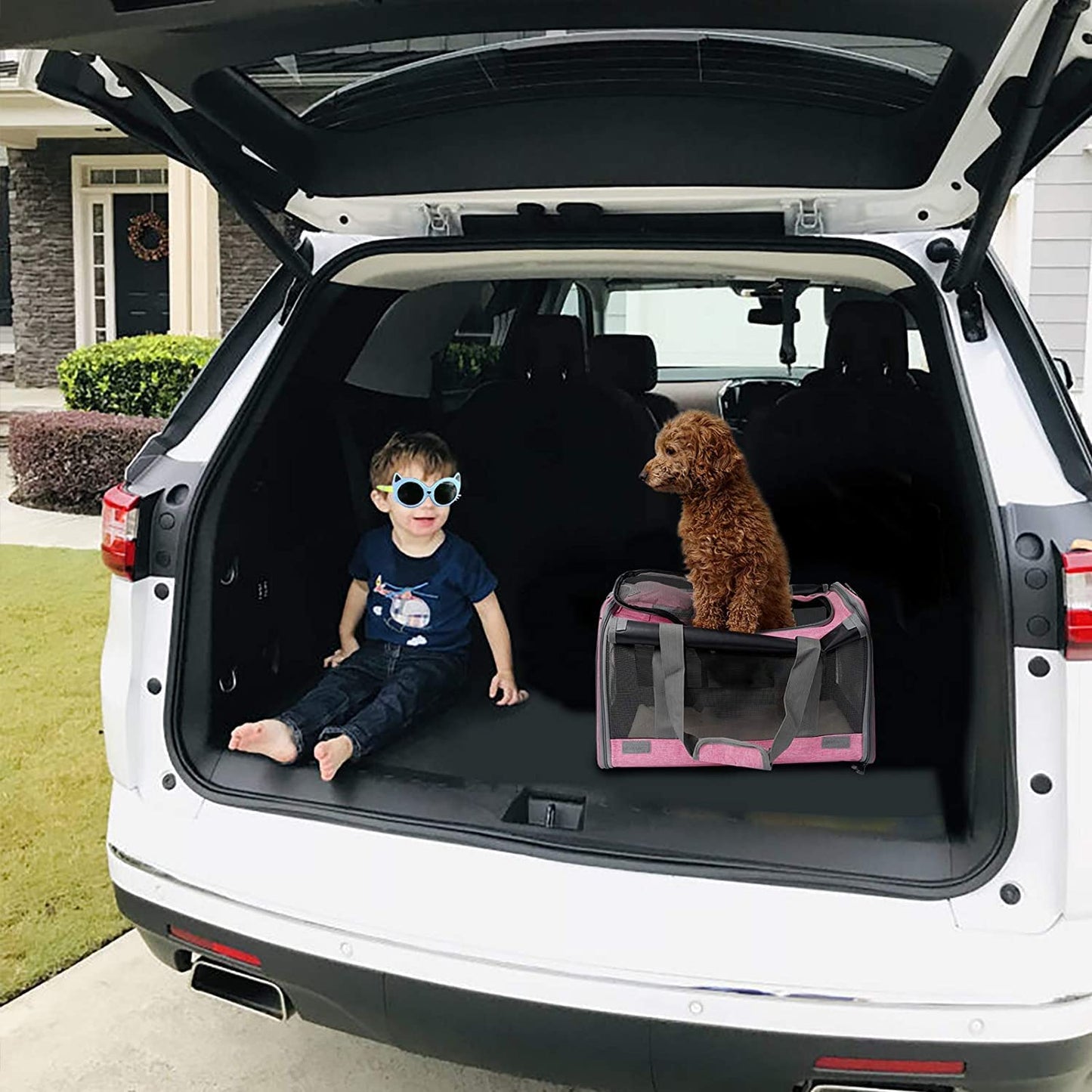 Pet Carrier for Large and Medium Cats, Soft-Sided Pet Carrier for Big Medium Cats and Puppy Dog Carriers Cat Carriers, Pet Privacy Protection Travel Carrier.