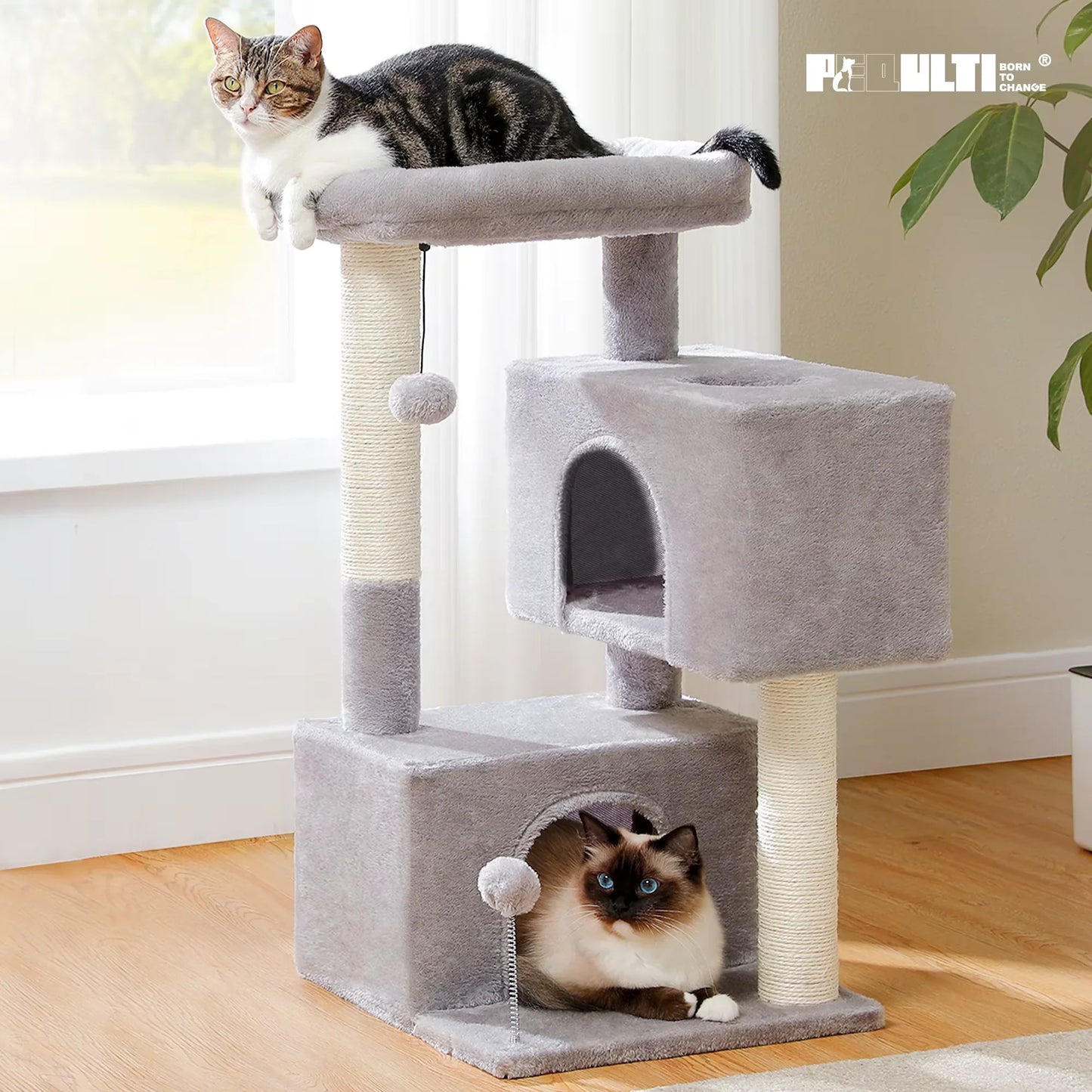 Sturdy cat tree designed for large cats, featuring a spacious cat tower to enhance your feline's comfort and play.